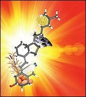 Spotlight On Vitamin D Testing