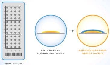 Mass Spectrometry’s Potential for Personalized Medicine