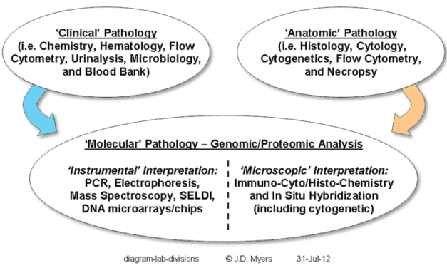 Changing Dynamics in Histotechnology