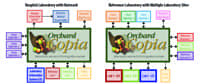 Orchard CopiaCLP