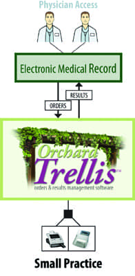Orchard TrellisSmallPracticeCLP