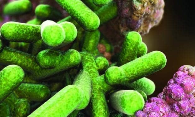 Targeting Antibiotic Resistance