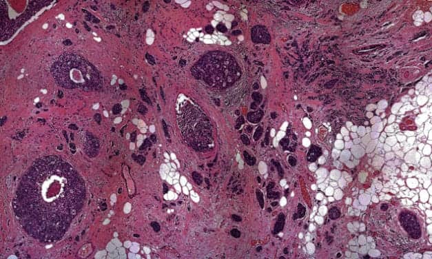 Pathology under Fire