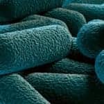 Healthcare-Associated Infections
