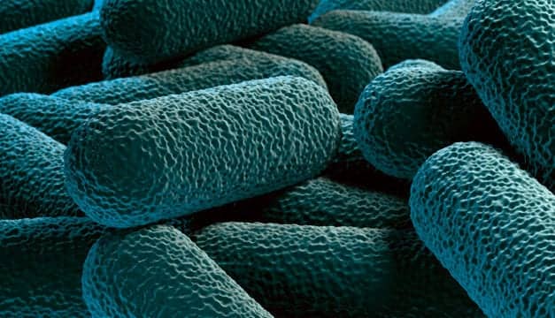 Healthcare-Associated Infections