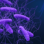 Study Shows Popular Molecular Tests Overdiagnose C. Difficile Infections