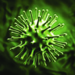 Respiratory Pathogen Testing