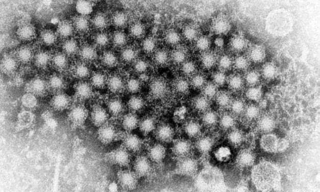 Quest Diagnostics Streamlines Hepatitis C Virus Lab Testing