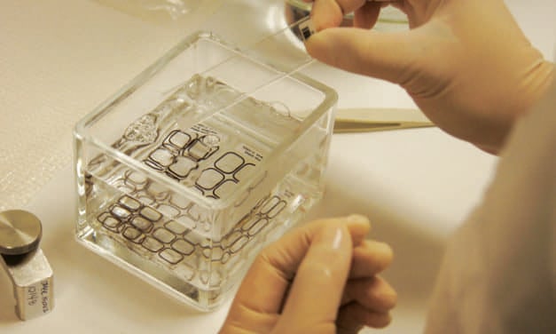 San Antonio Presenters Offer New Data on Genomic Diagnostics