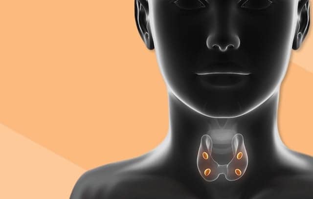 Third-Party Control for Parathyroid Hormone Tests