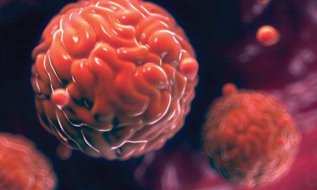 Zika Virus Puts Testing in the Forefront