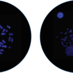 Analyte-Specific Reagents Optimized for Common Sample Types