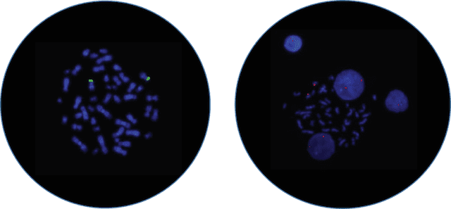 Analyte-Specific Reagents Optimized for Common Sample Types