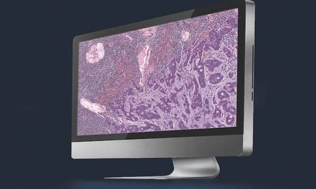 Pathology Goes Digital
