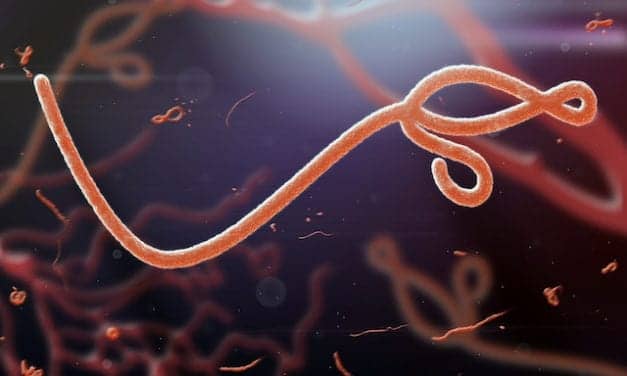 NIH Reflects on 1976 Ebola Outbreak