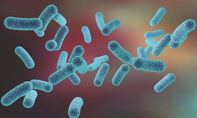 For Drug-Resistant STIs, Detection Is Not Enough