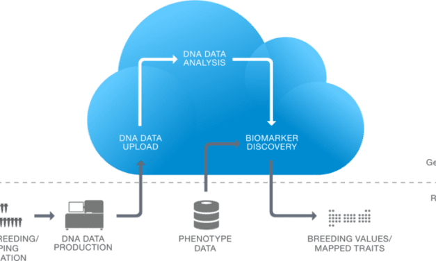 NRGene Technology Efficiently Analyzes Abnormalities in Multiple Human Genomes 
