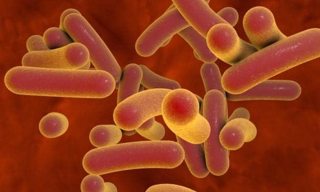 Drive-thru Type Test to Detect Viral Infections in Bacteria