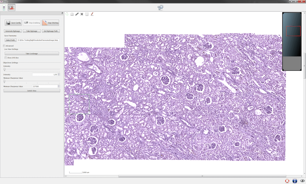 Scanning System Optimized for Microscopy