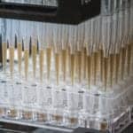 Single Blood Test Screens for Eight Common Cancers