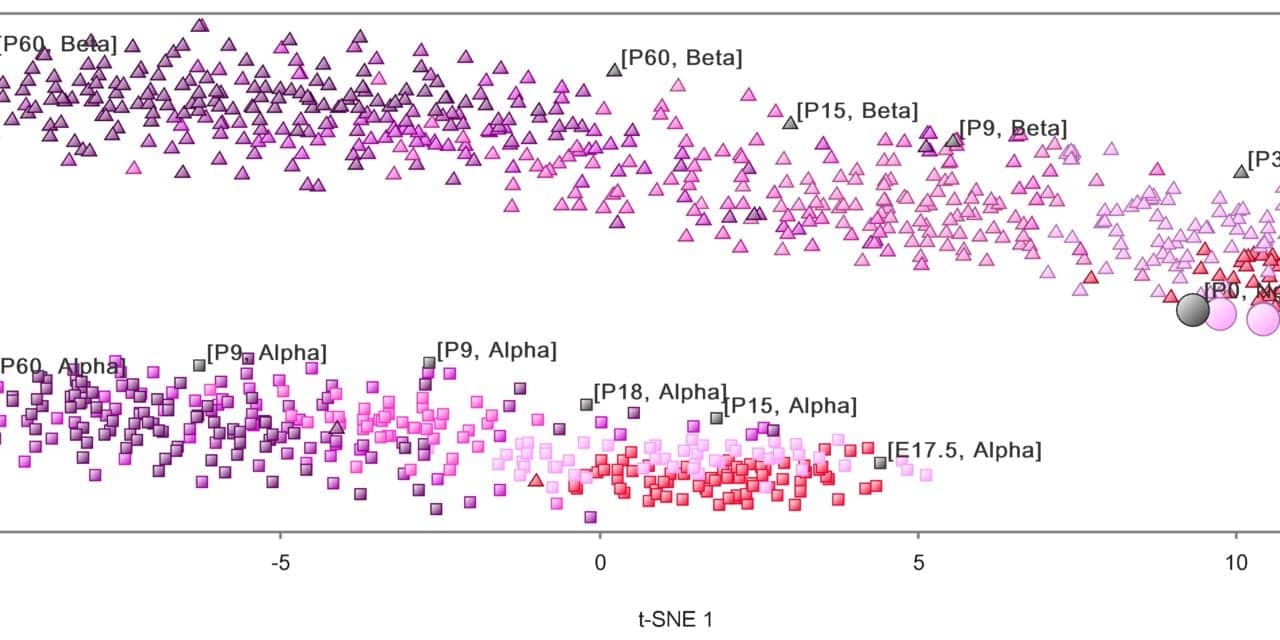 Bioinformatics Software Addresses NGS Challenges