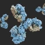 Anti-Drug Immune Response Testing