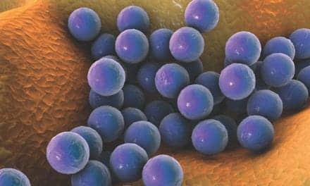 The Rising Threat of Antimicrobial Resistance