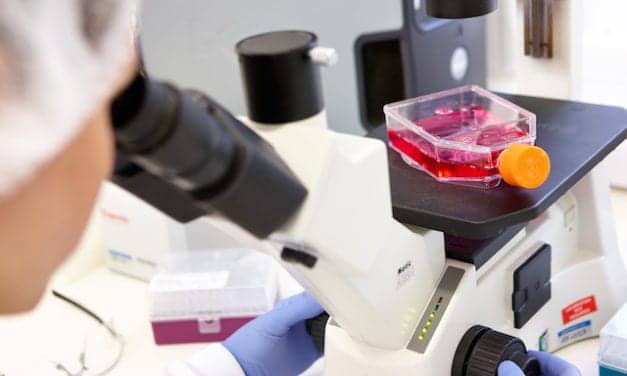 BBI Solutions Broadens Antibody Portfolio with Acquisition of Maine Biotechnology Services