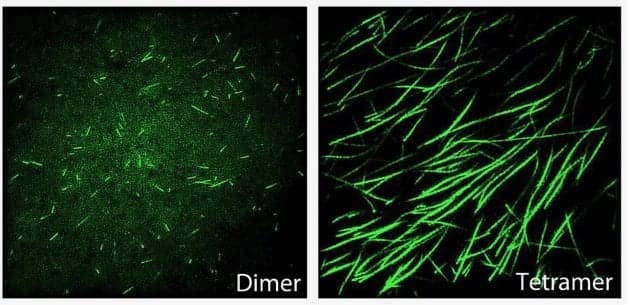 Texas A&M Researchers Identify New Way to Diagnose Diseases