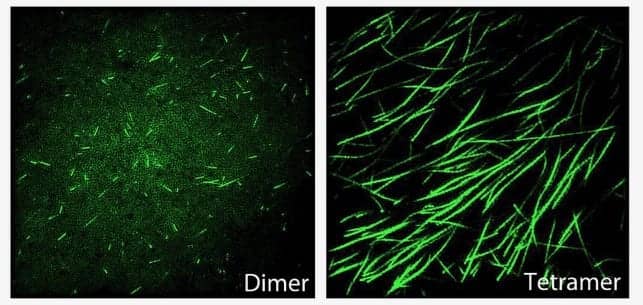 Texas A&M Researchers Identify New Way to Diagnose Diseases