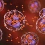 The Case for Universal STI Screening