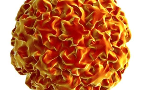 Cobas HPV Test Earns FDA Nod for Use with SurePath Preservative Fluid