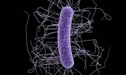 The Toxin Trouble with C. difficile