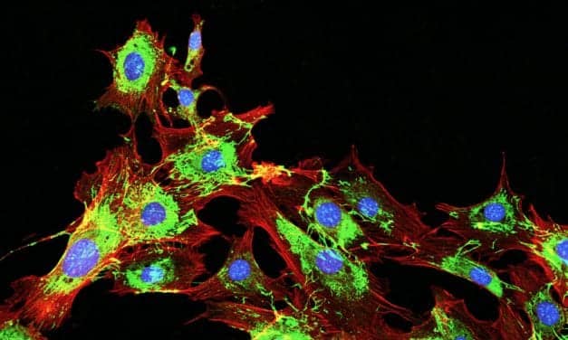 FDA Approves Companion Diagnostic for Pfizer’s Talzenna