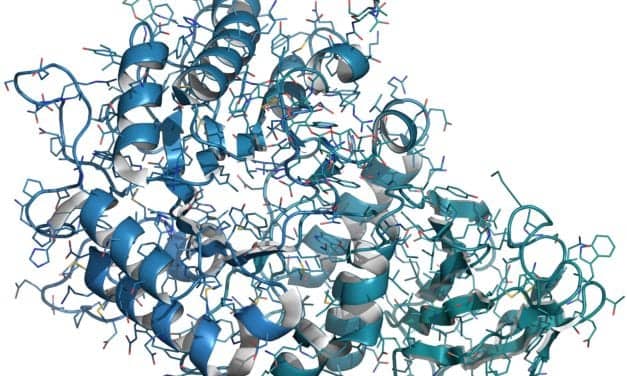 Supporting Diagnoses for Rare Genetic Disease Patients