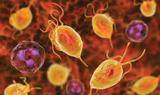 Advancing the Diagnosis of Vaginitis