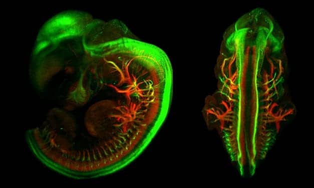 Miltenyi Biotec Acquires Promising Non-Harmful Imaging Process
