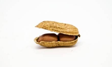 Blood Test Helps Clinicians Identify Potentially Life-Threatening Peanut Sensitization