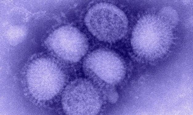 Influenza and the Common Cold: Two Different Diseases