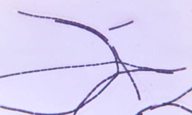 FDA Issues Final Rule to Classify Bacillus Species Detection Tests