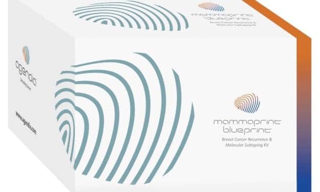 BluePrint Identifies Genomic Subtypes for African-American Breast Cancer Patients