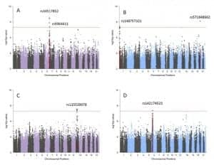 Manhattan plots