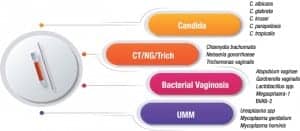 v2-UPDATED-CPT code-AMPIPROBE-WHP-Clinical-Labs-flyer.indd