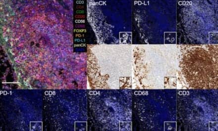 Study Demonstrates Microfluidic Technology for Multiplexed Sample Staining