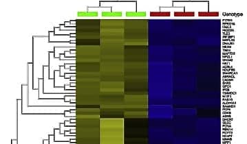 Next-Generation Sequencing Module Enhances Productivity of Bioinformatics Software