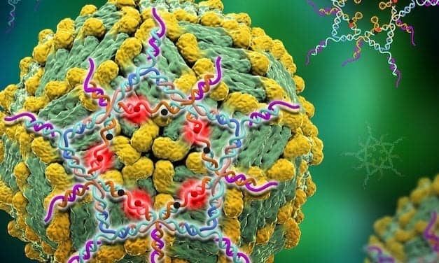 DNA Star Creates Ultrasensitive Test for Dengue Virus