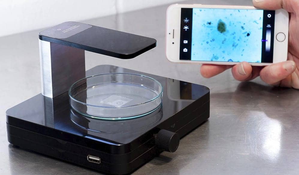IoLight Introduces Inverted Microscope for Observing Cell Cultures