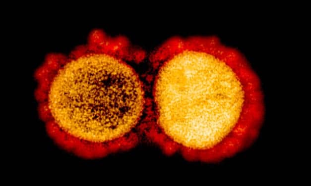WHO Officially Calls Coronavirus a Pandemic