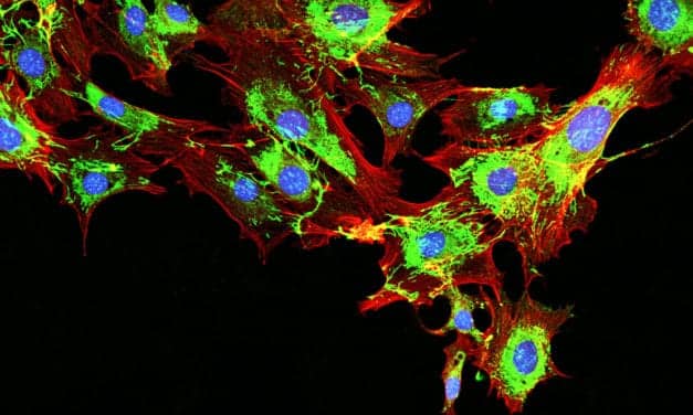Natera’s Signatera ctDNA Assay Test Receives CE Mark