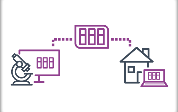Free Remote Pathology Solution for Healthcare Institutions Affected by Covid-19